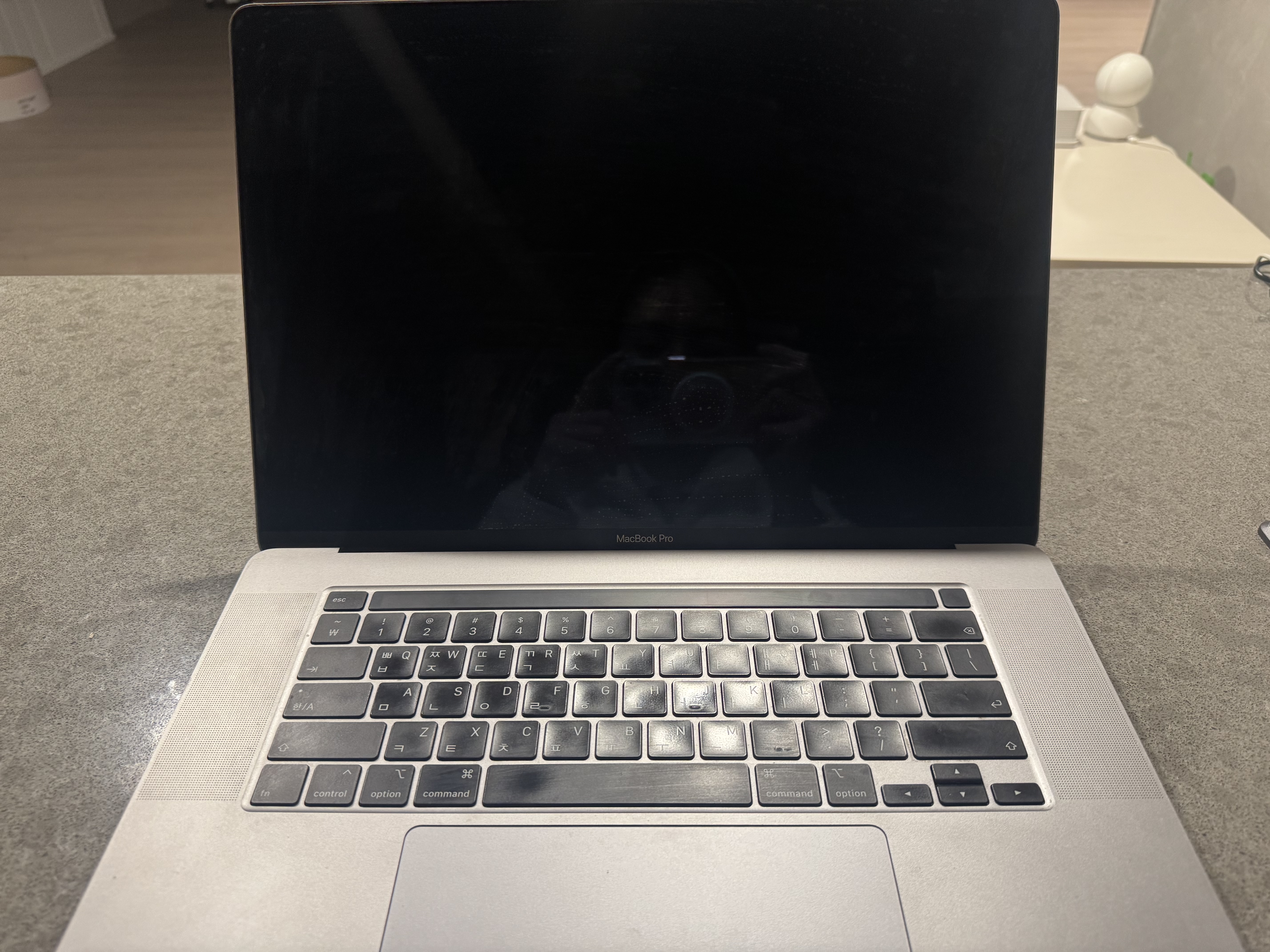 16인치 2019맥북프로  i9 RAM 32GB, 1TB