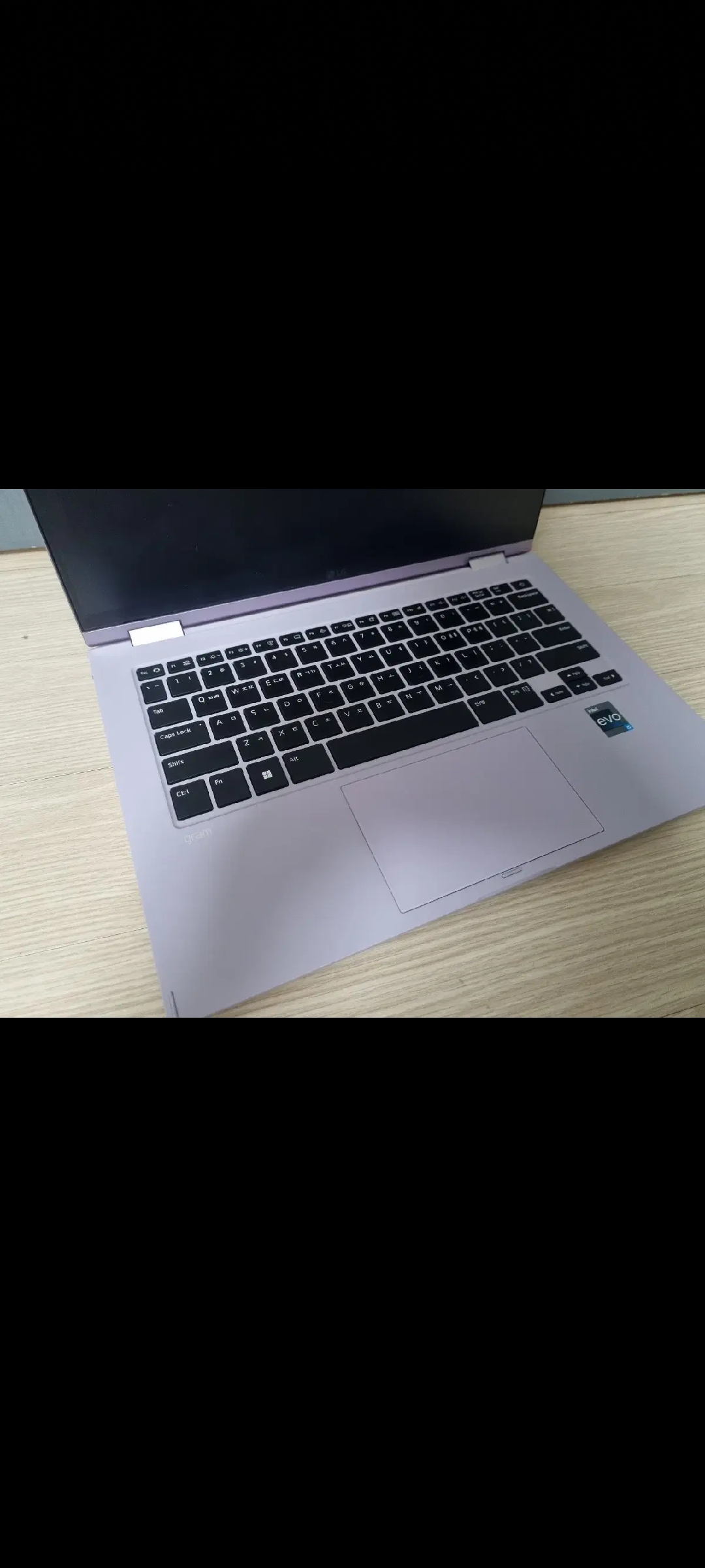 LG 그램 360 35.5cm (14T90Q-GR5PK)