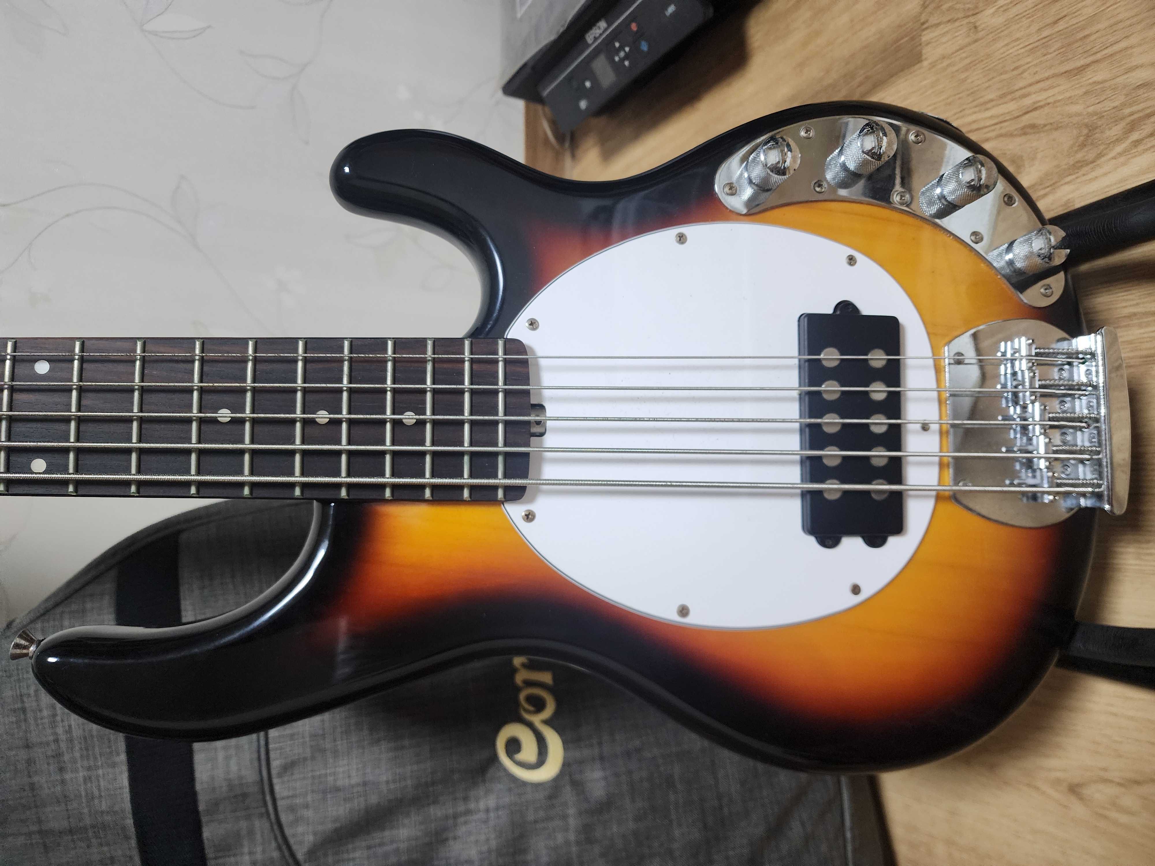 tagima bass